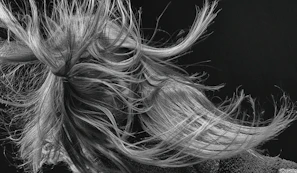 Artistic shot of hair flowing in the wind highlighting texture and movement