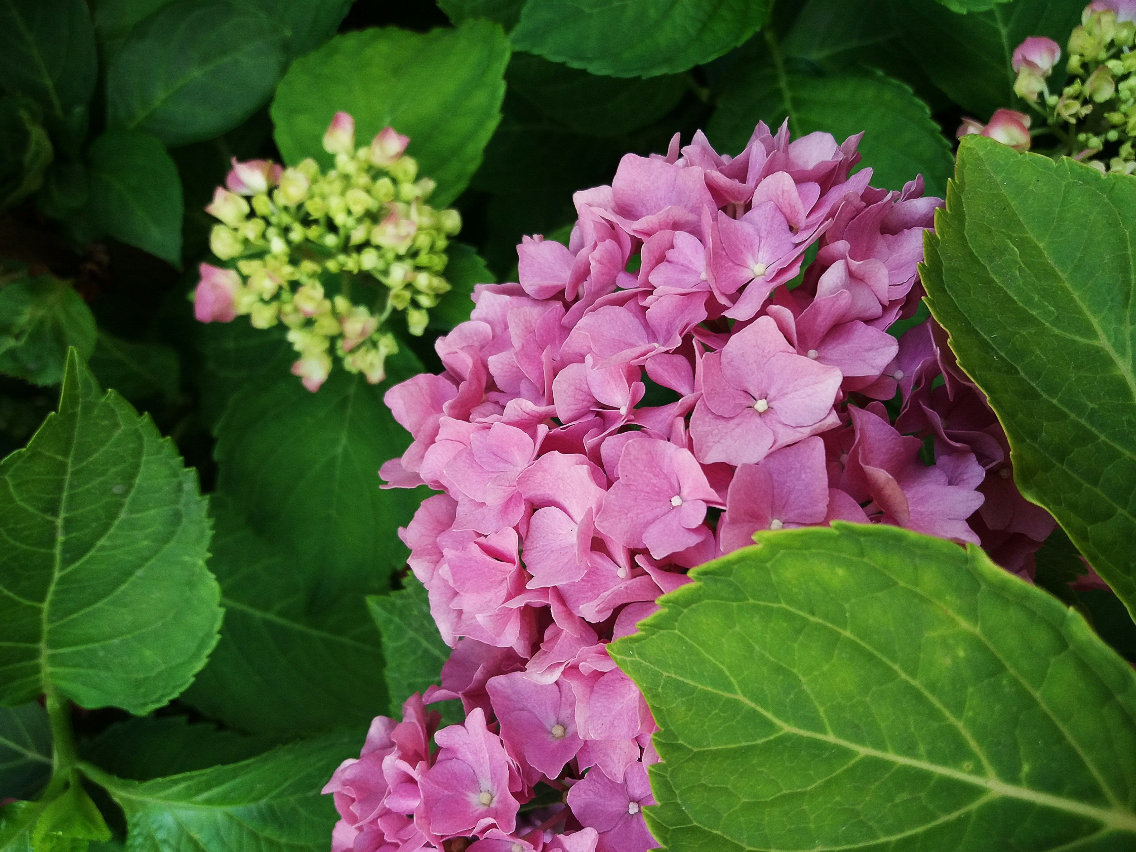 Photo by dariaaltunina