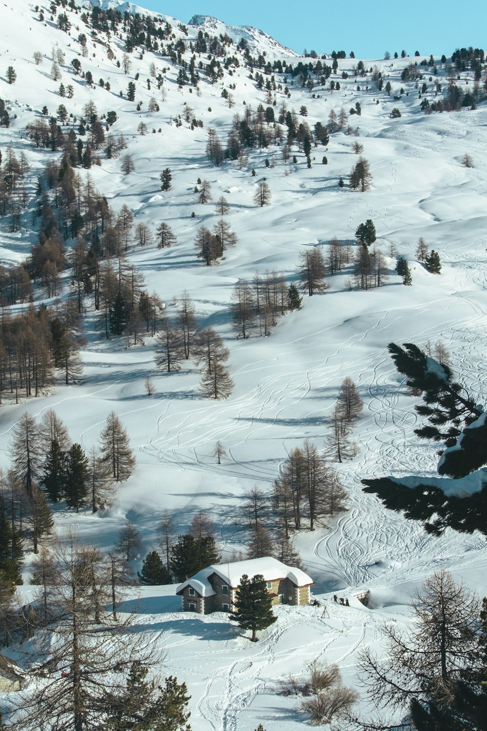 Ein Haus an einem verschneiten Ort