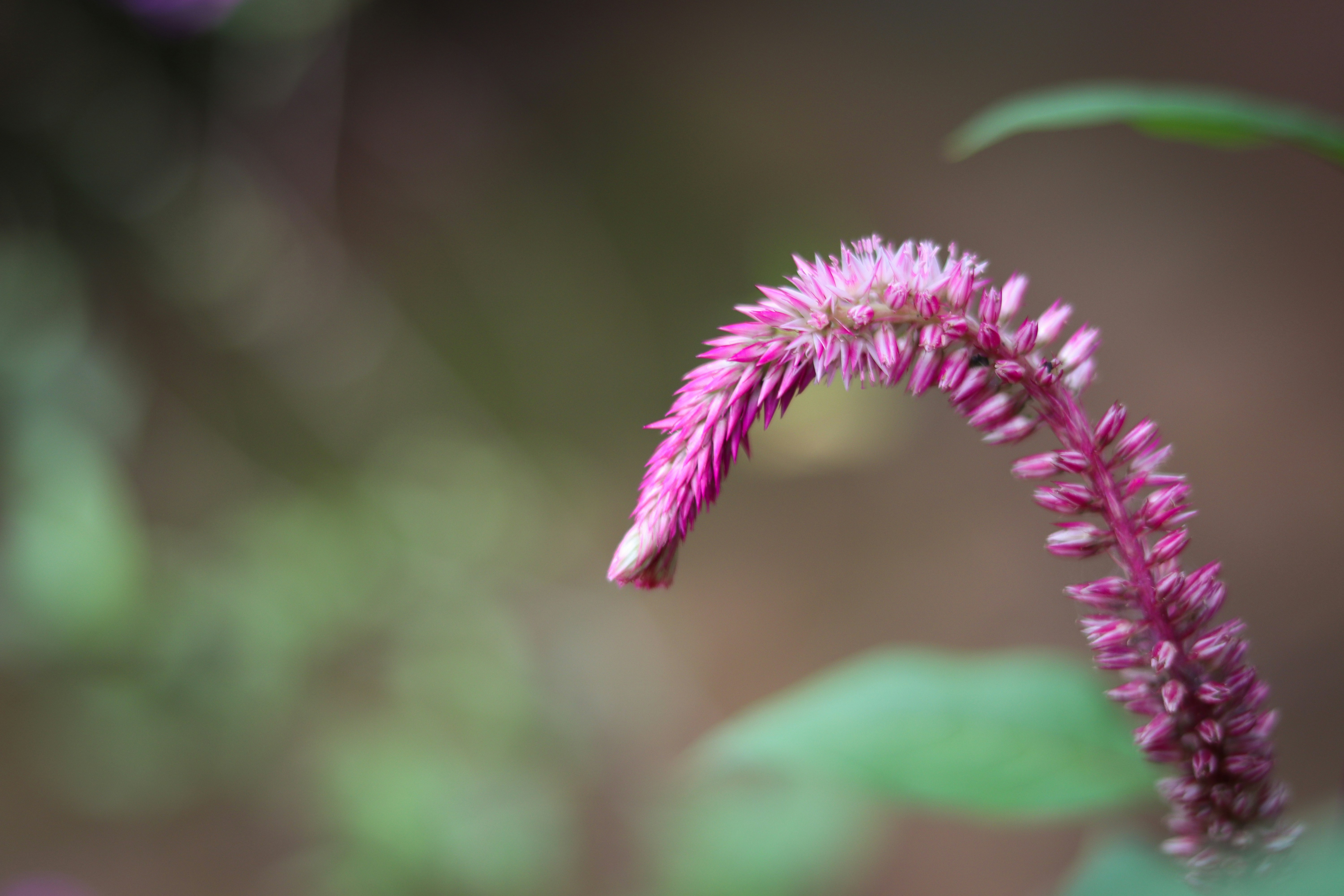 Photo by dark_matter_09