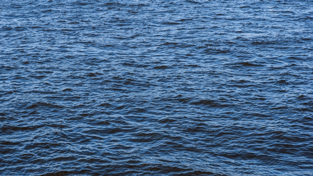 a body of water with rocks in it