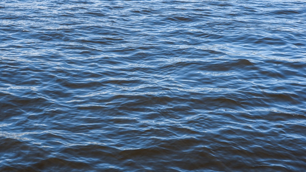 a body of water with rocks in it