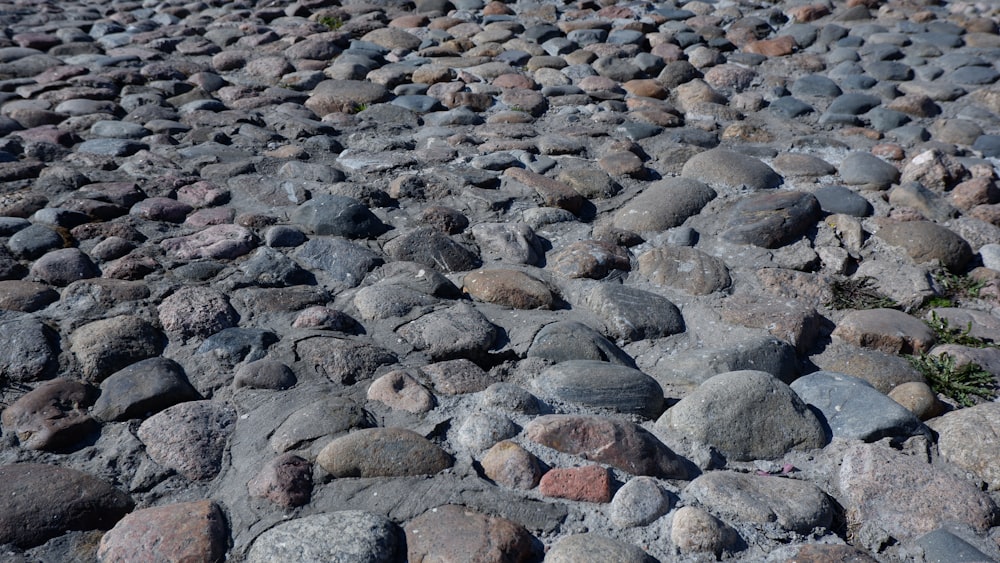 a large group of rocks