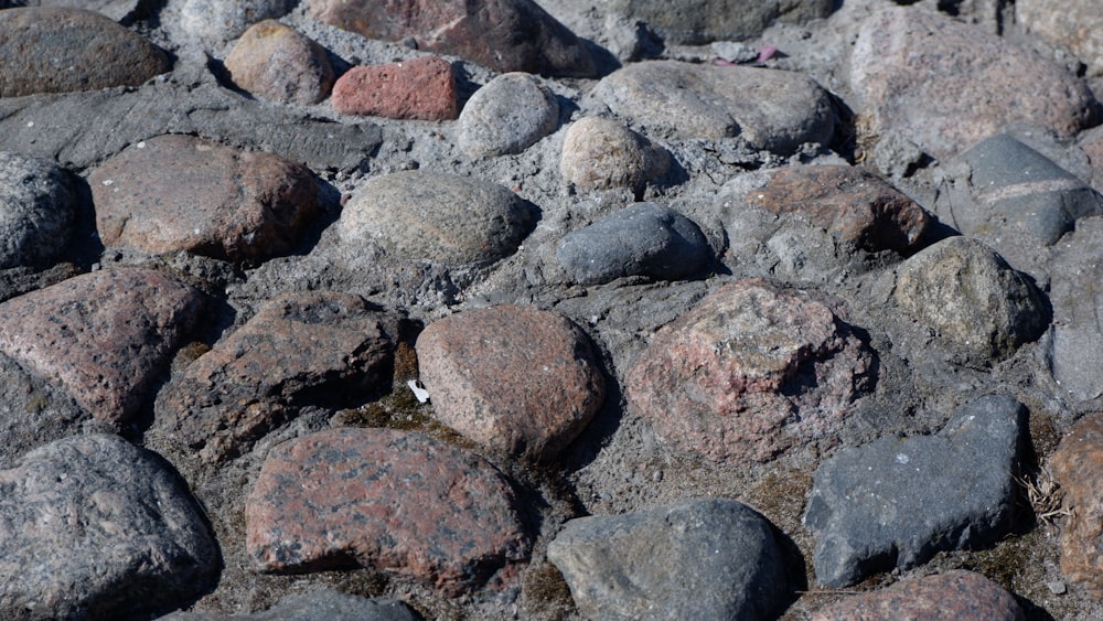 a group of rocks