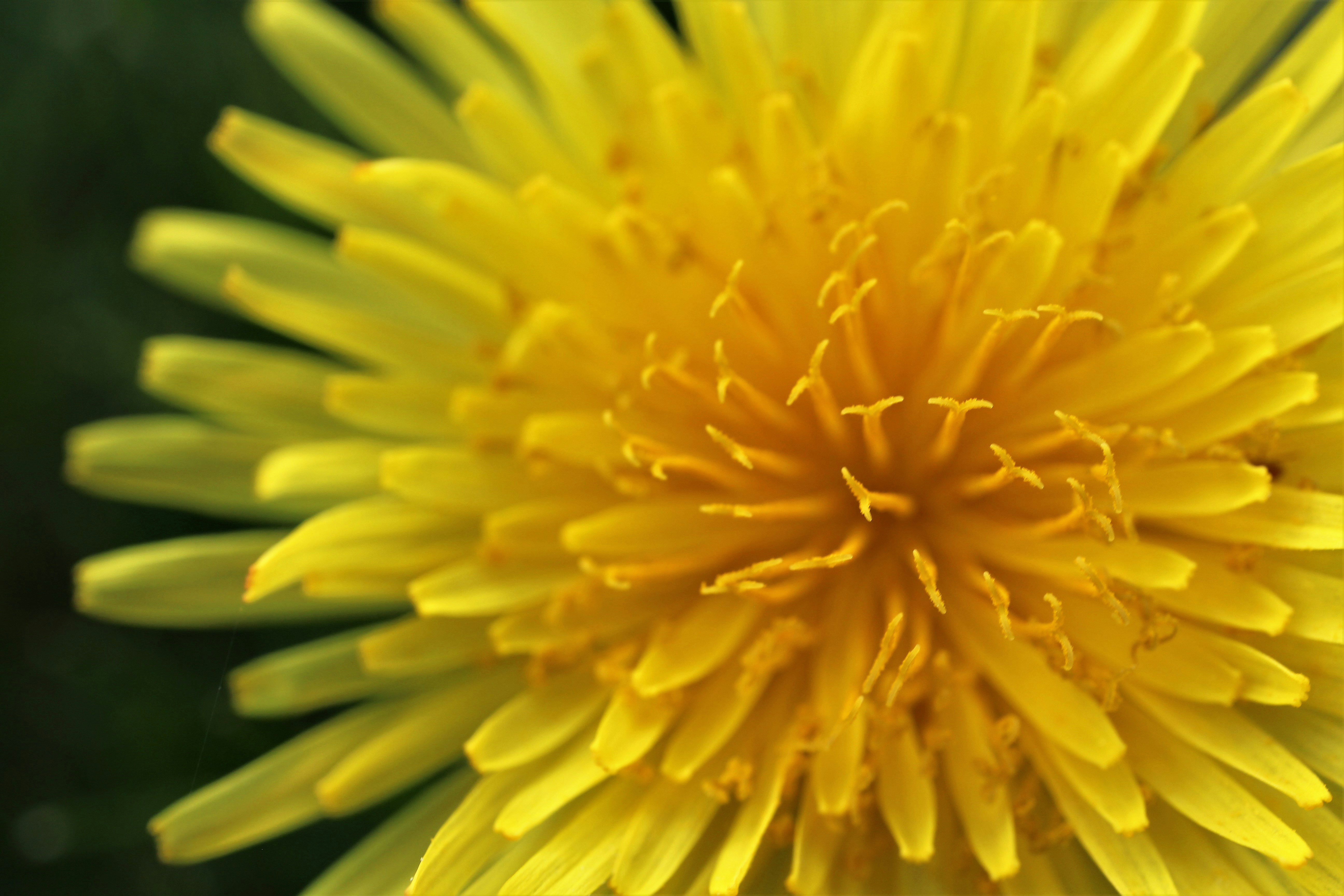 Photo by cameraman_crouton