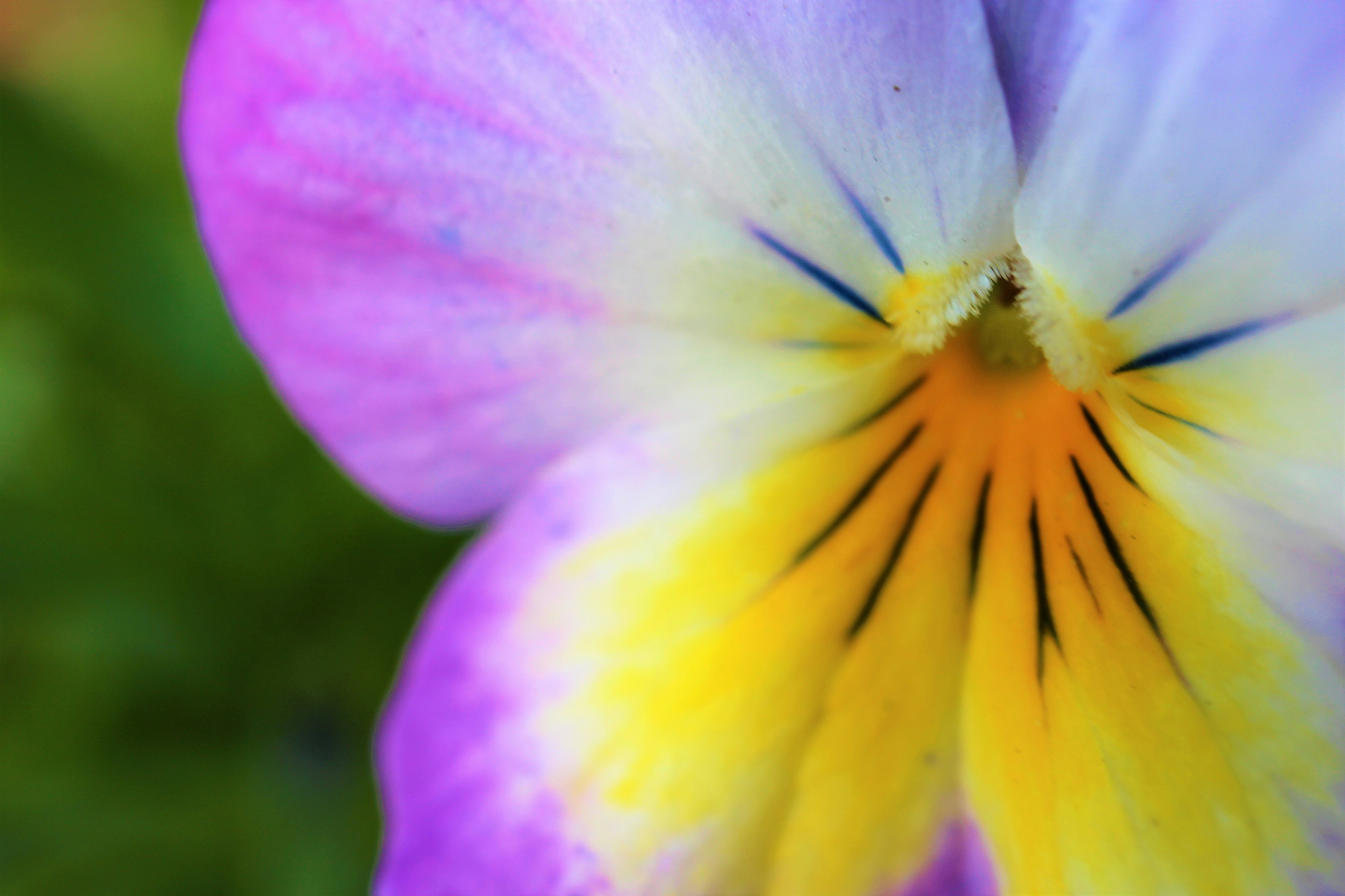 Photo by cameraman_crouton