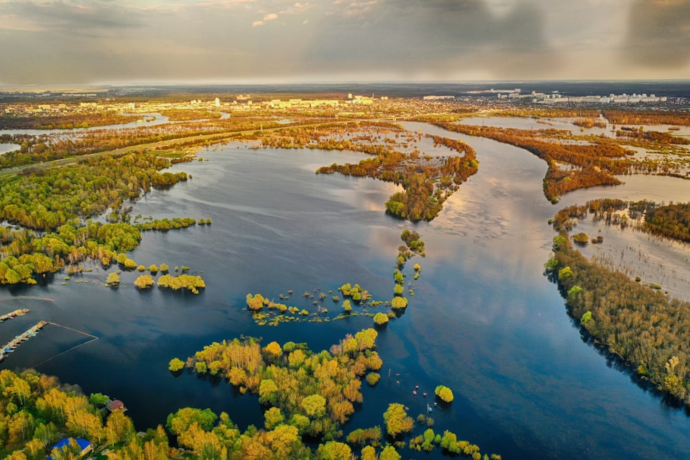 a river with yellow flowers