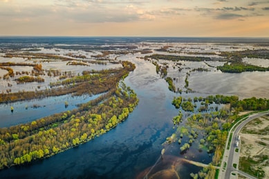 a river with a road and trees