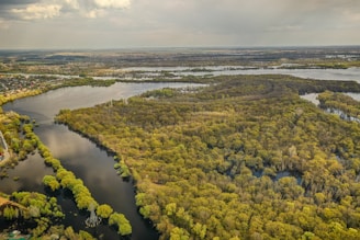 An aerial view of a large expanse of dense forest surrounded by waterways. The landscape includes shades of green and brown, with clear skies overhead. A small settlement or town is visible in the distance, near the edge of the water.