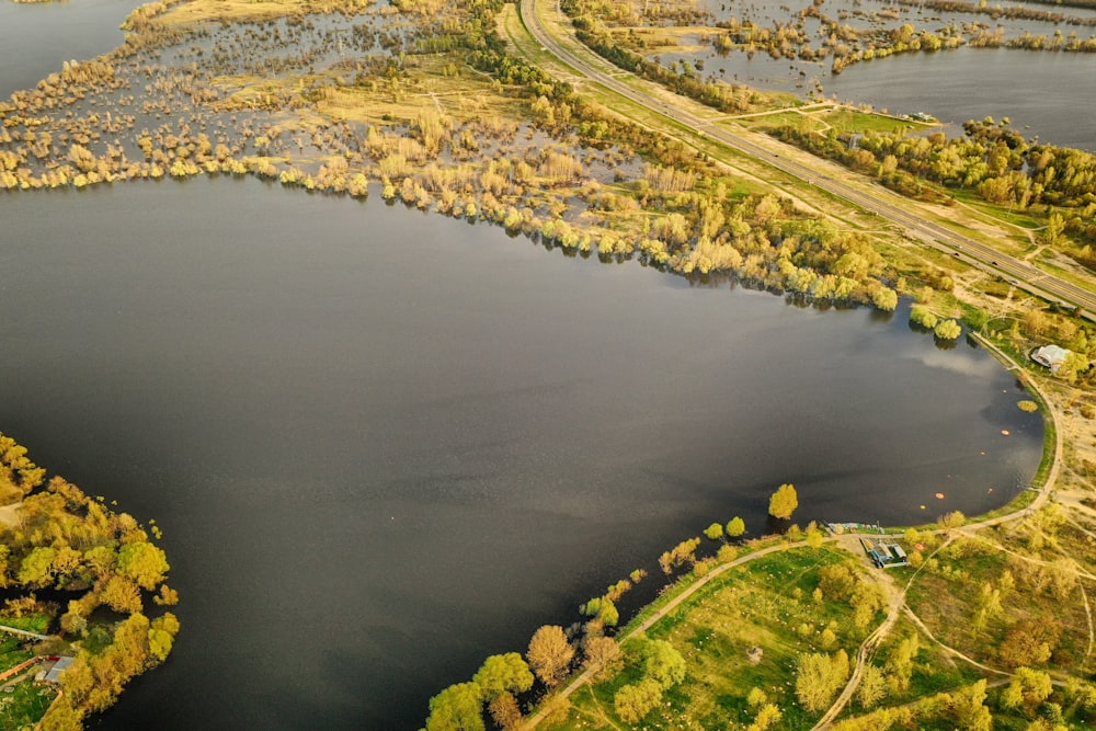 a river with trees and grass