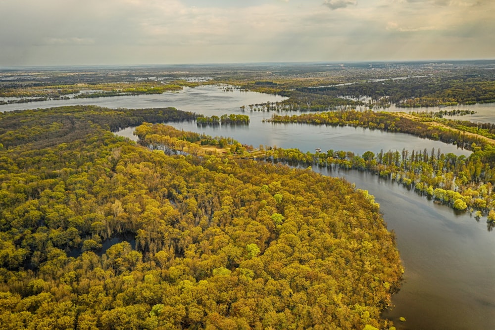 Ein Fluss mit Bäumen und Sträuchern