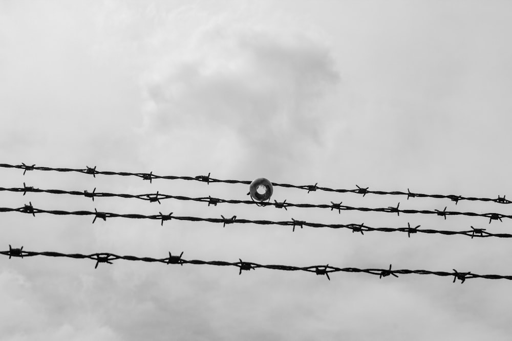 a barbed wire fence