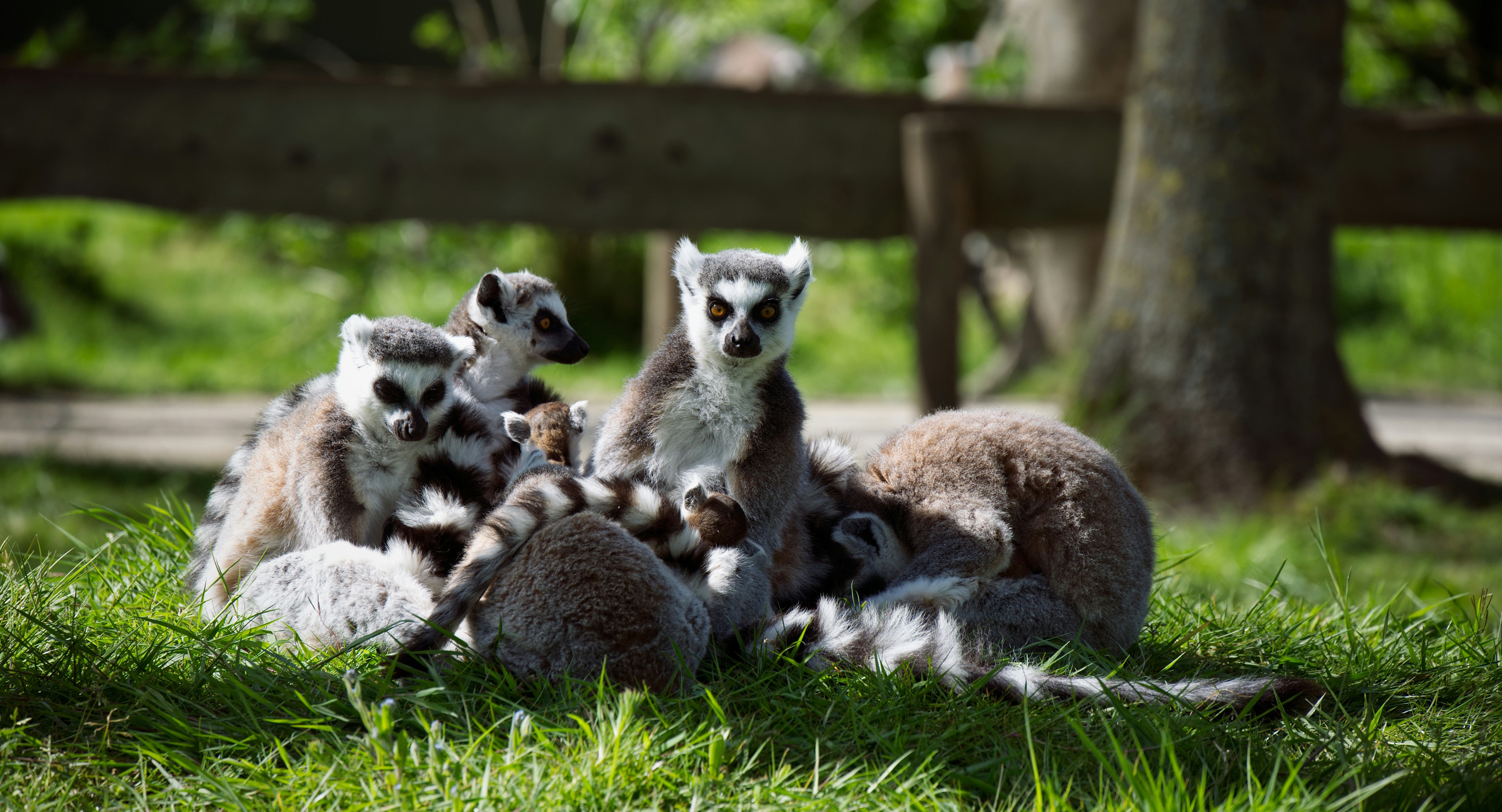 Photo by job_vermeulen