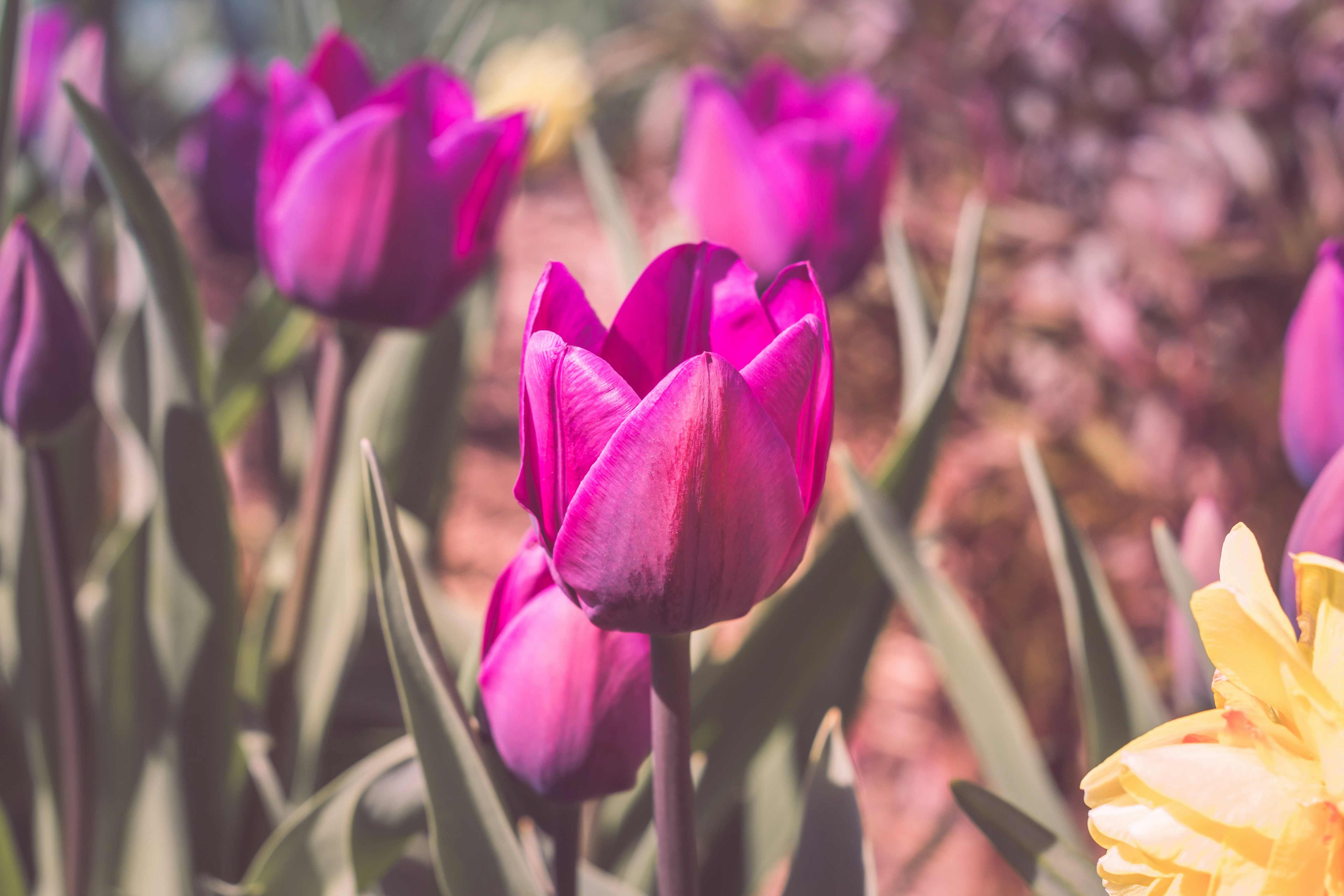 Photo by richardrivas