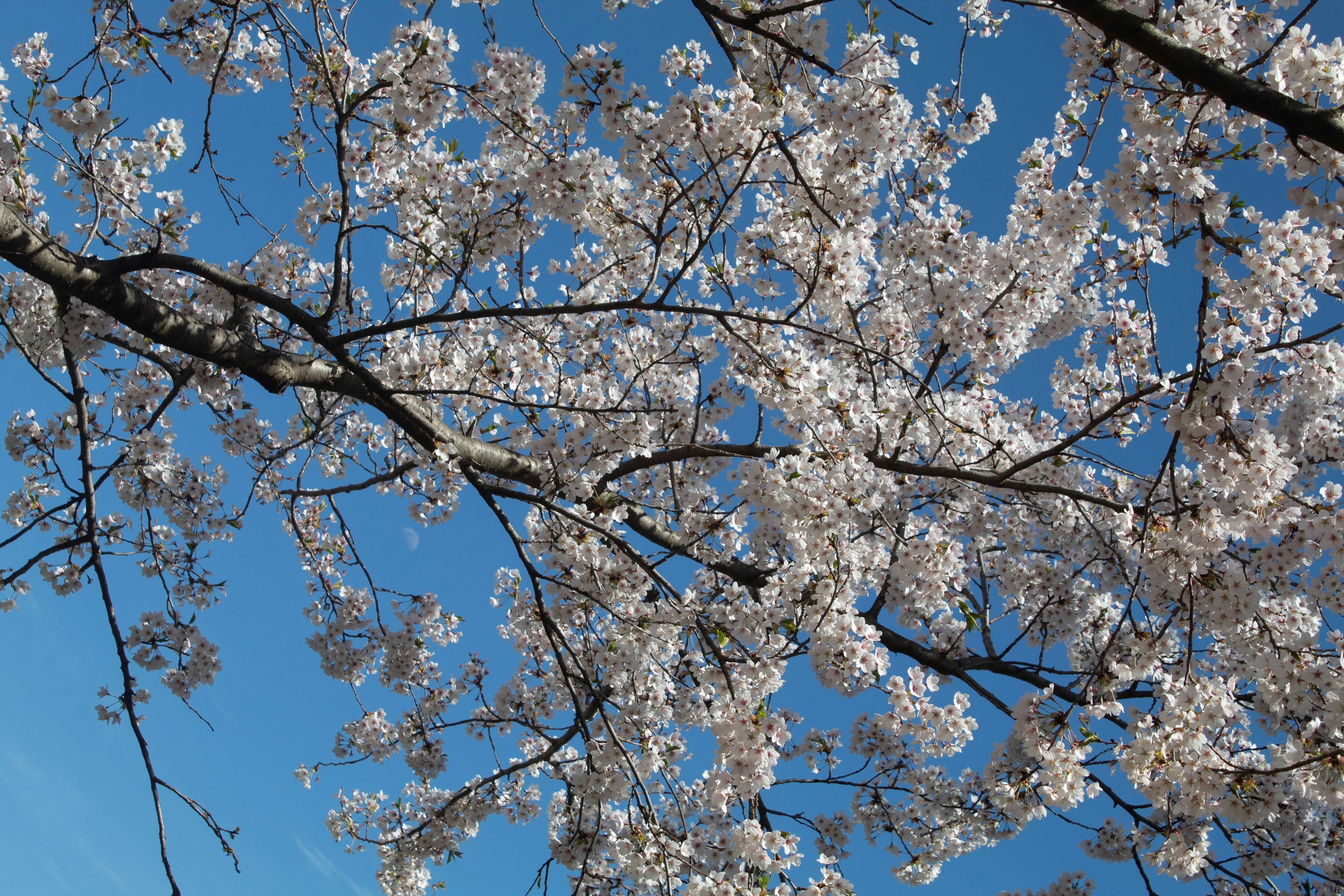 Photo by richardrivas