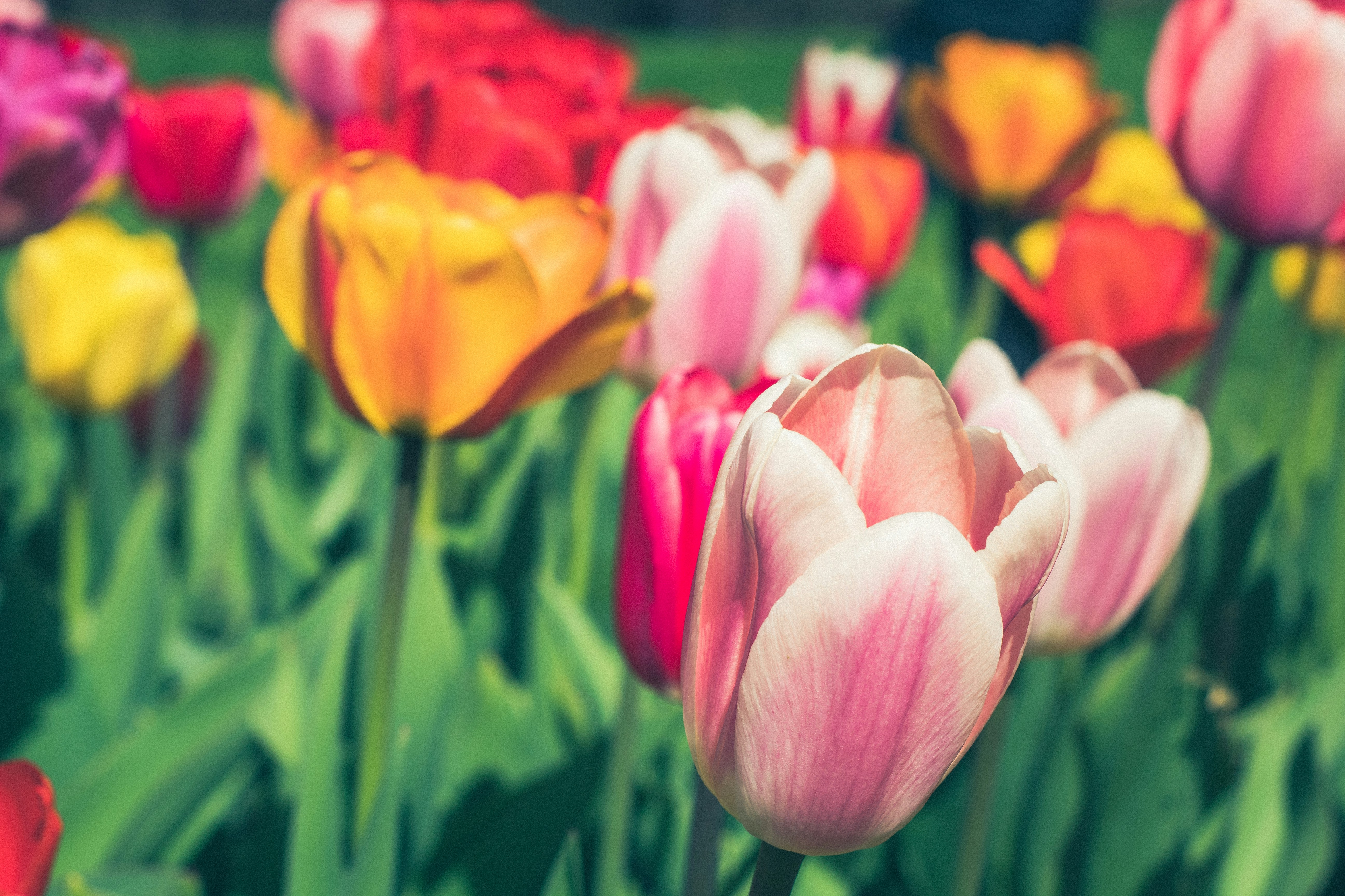 Photo by richardrivas