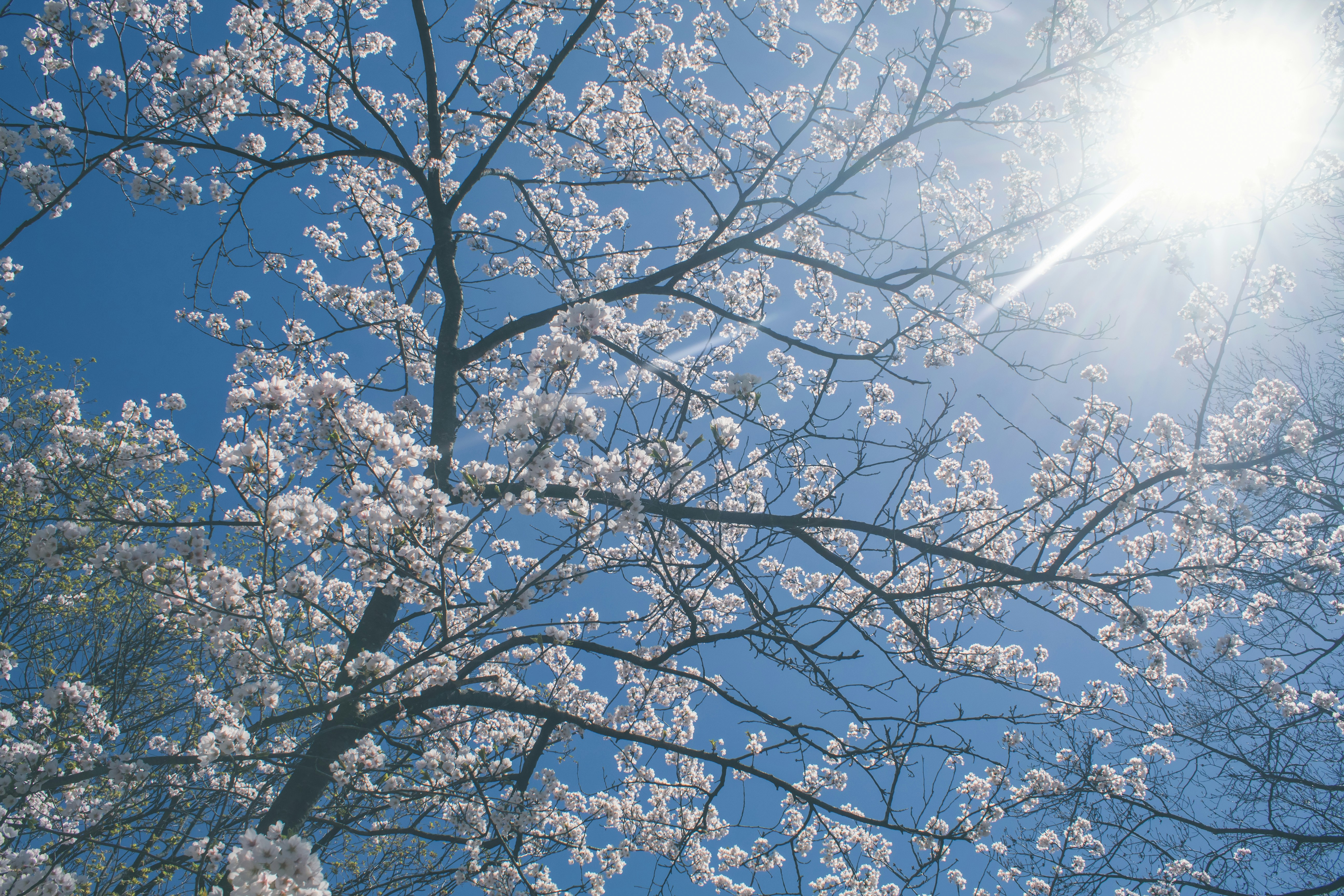 Photo by richardrivas