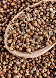 a pile of coffee beans