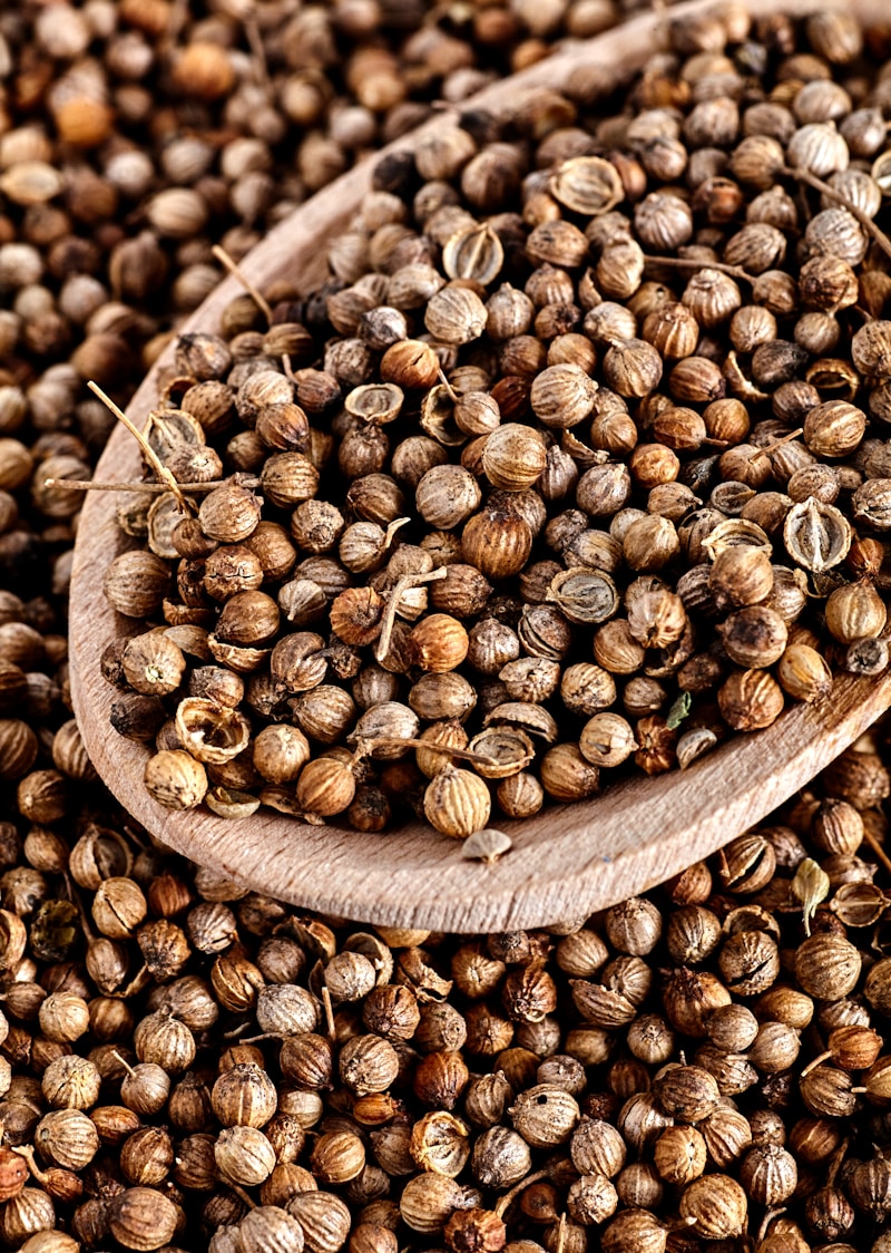 Coriander Seeds