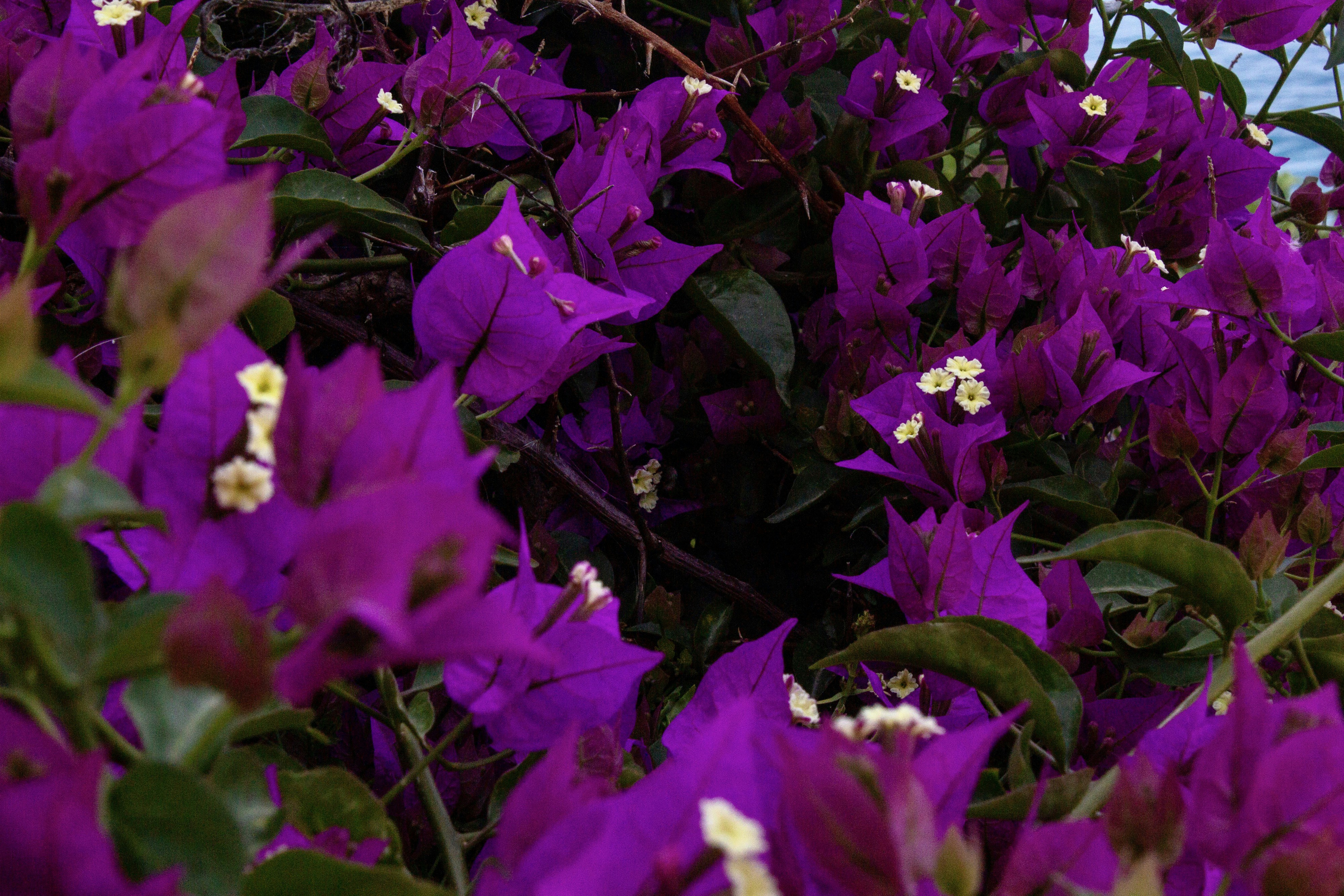 Photo by spencerjameslucas