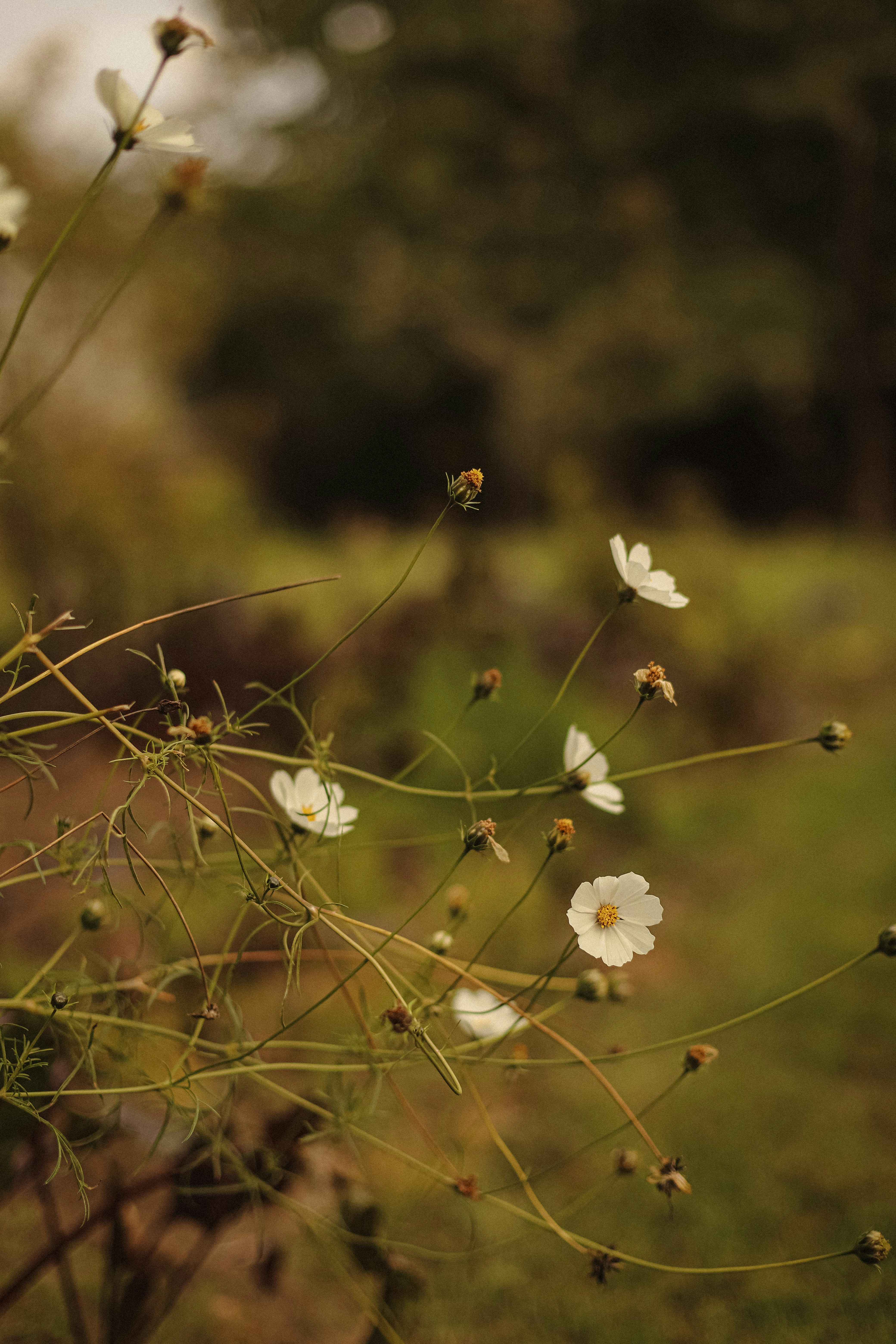 Photo by mykhailokopyt