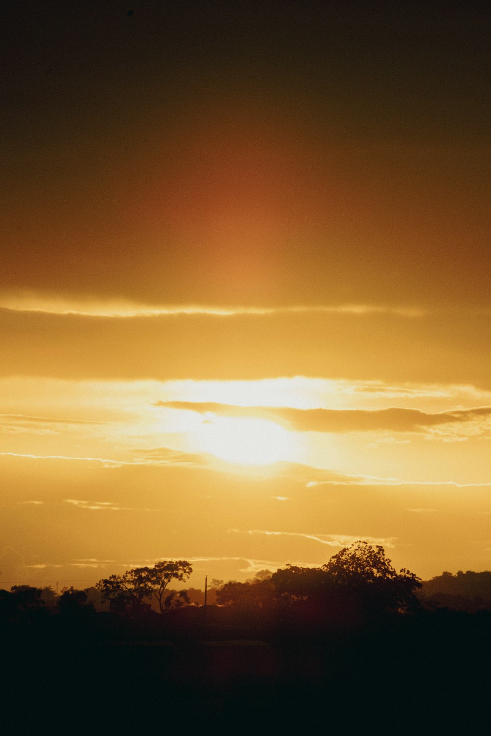 a sunset over trees