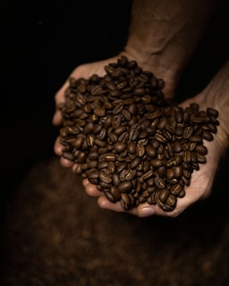 a hand holding a pile of coffee beans