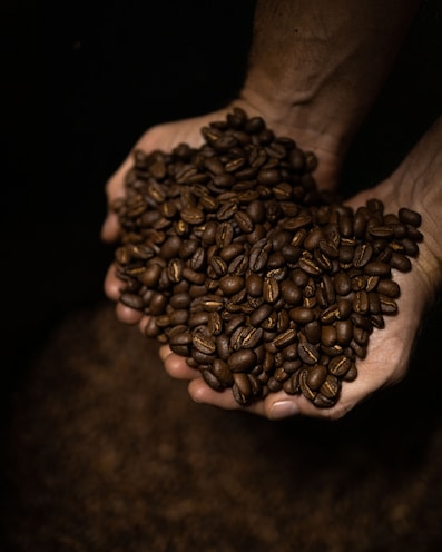 a hand holding a pile of coffee beans