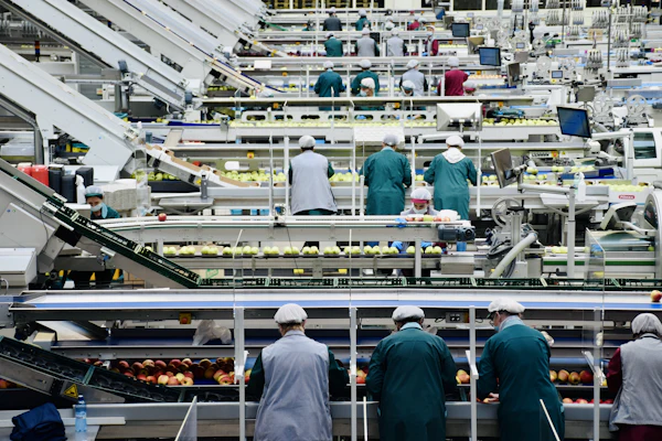 Tim bekerja di dalam pabrik