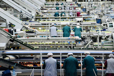 Food Processing & Packaging