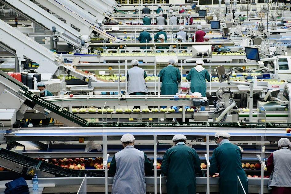 Illustration de l'article : ERP Copilote d’Infologic : l’ERP agroalimentaire français, de la réception des matières premières à la facturation électronique