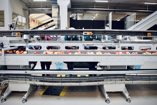 Close-up of factory workers handling processed food products on a production line.