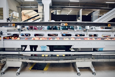 Fresh tomatoes being carefully sorted on a conveyor belt in a bright, modern factory setting.