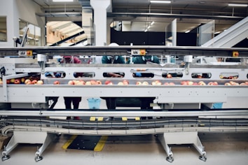 A factory setting with workers sorting apples on a conveyor belt. The space is well-lit with fluorescent lights and features industrial equipment. Workers are wearing protective clothing and hairnets.
