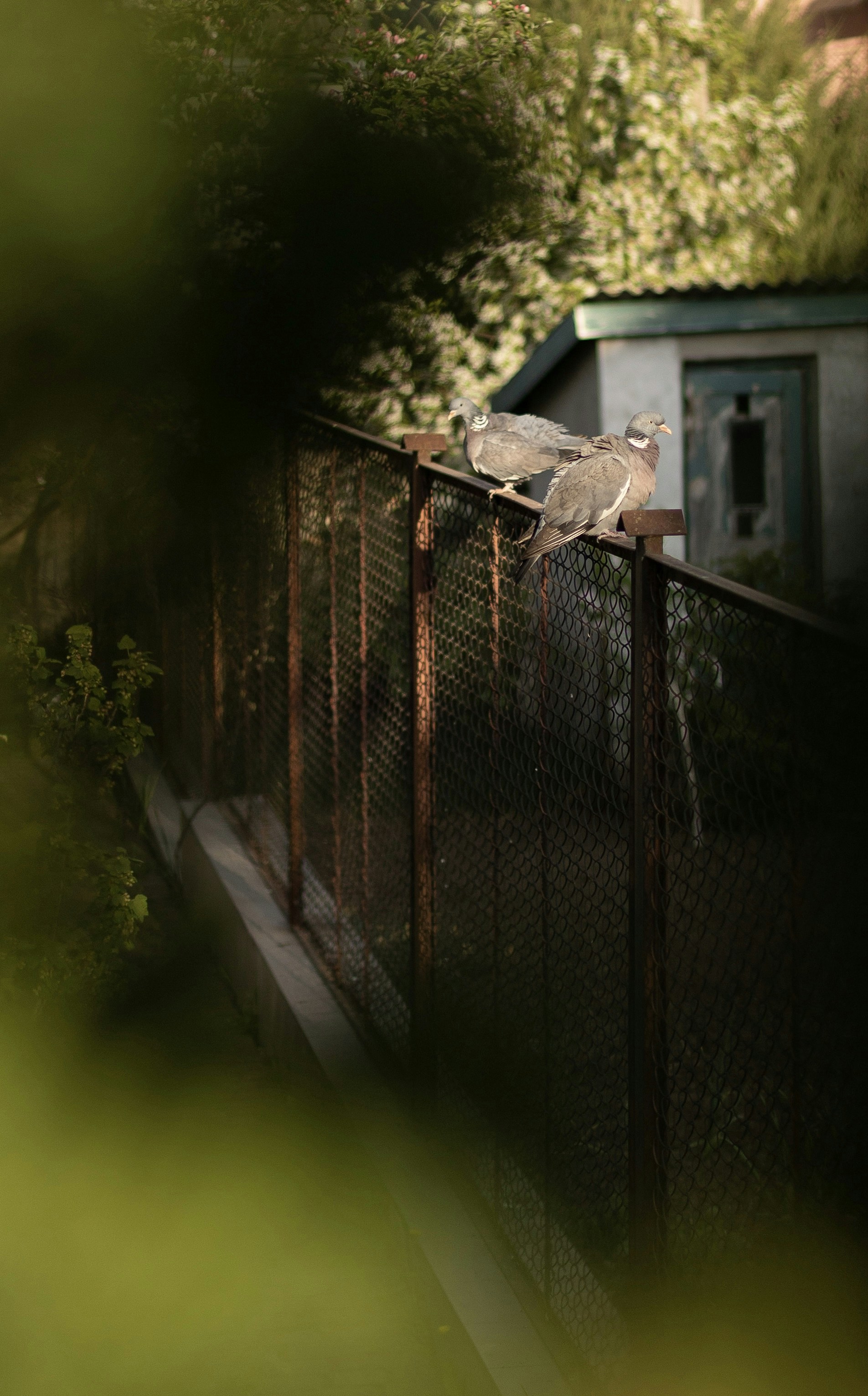 Photo by mykhailokopyt