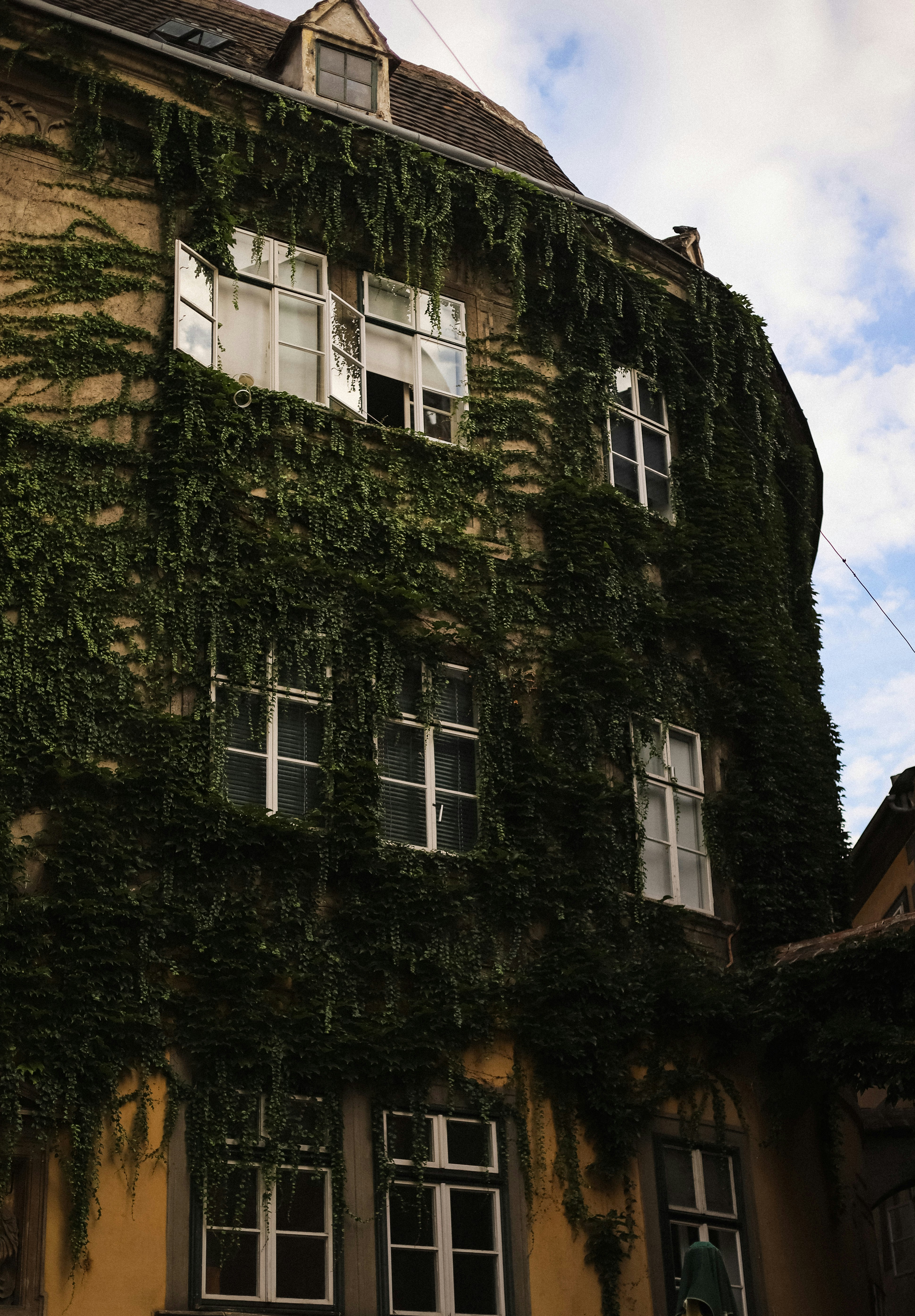 Photo by mykhailokopyt