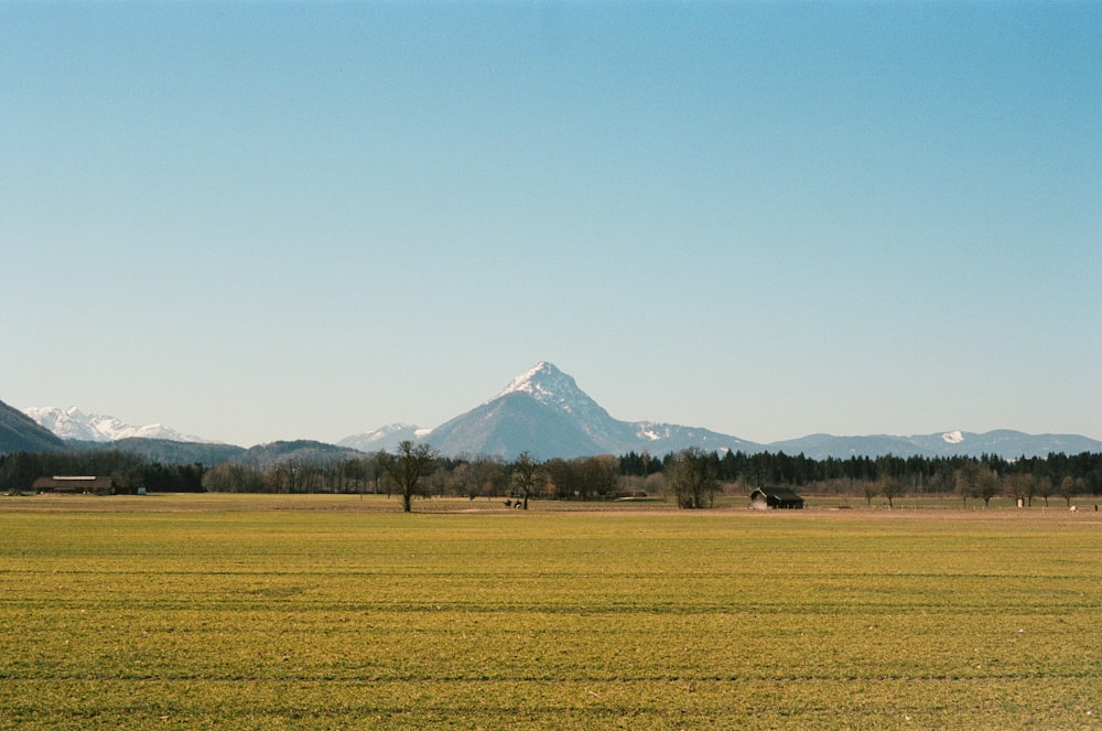 a field with a mountain in the background