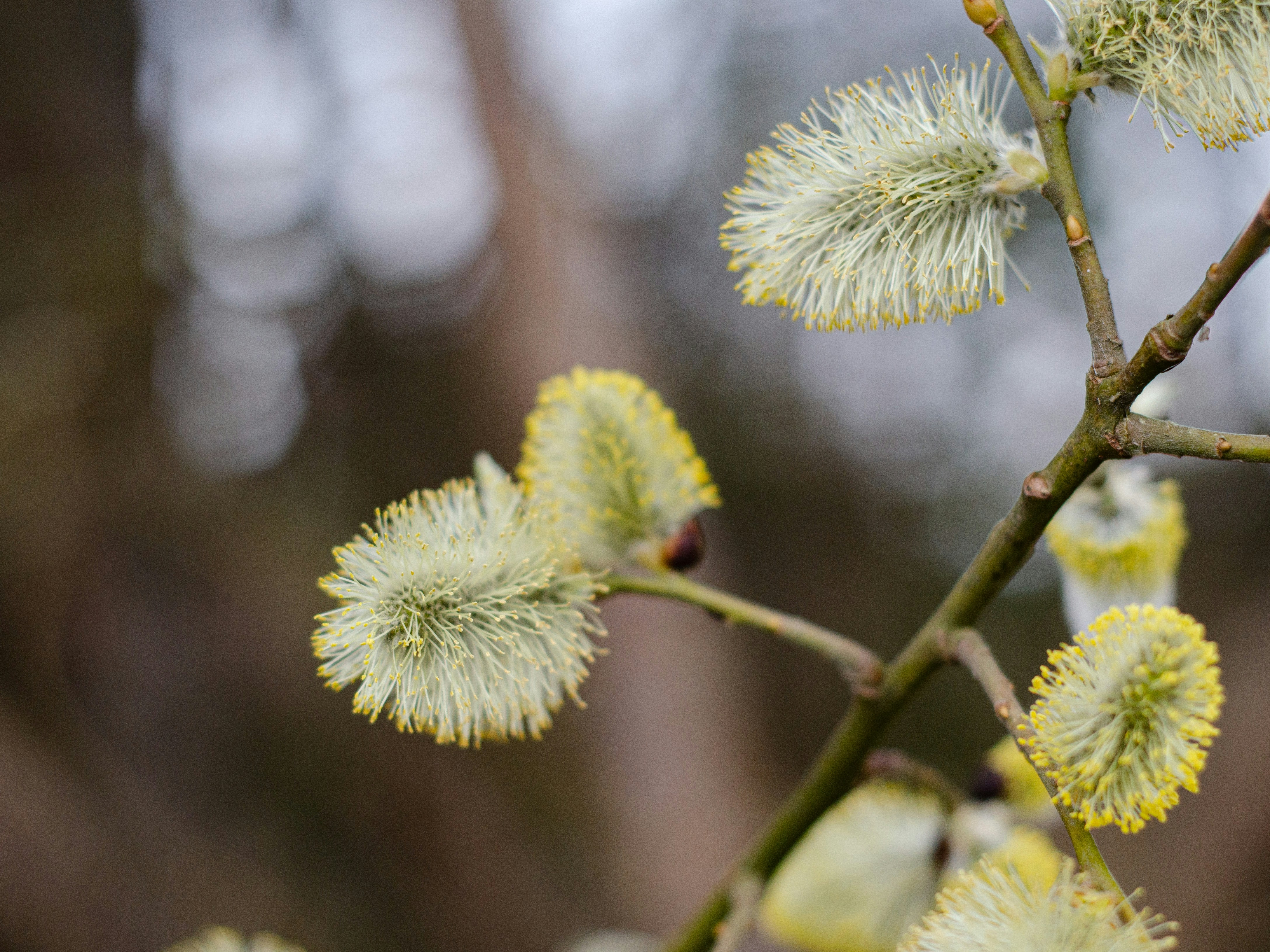 Photo by indi_grunge