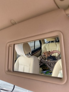 A small dog sits comfortably in the backseat of a car on a leopard-print blanket. The scene is reflected in the car's rearview mirror, showing part of the interior, which features beige upholstery. A hand reaches towards the dog, possibly petting it.