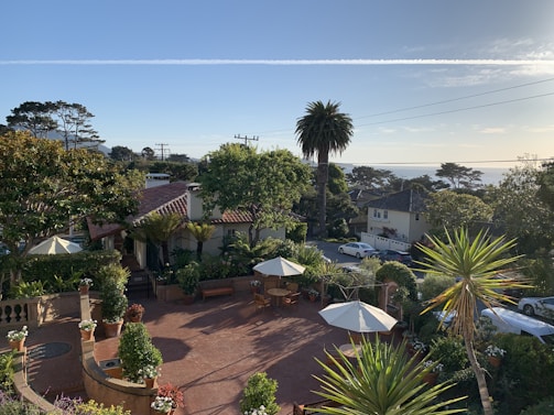 Guests enjoying a sunny courtyard garden at one of India Top Hospitality’s properties in Karol Bagh.