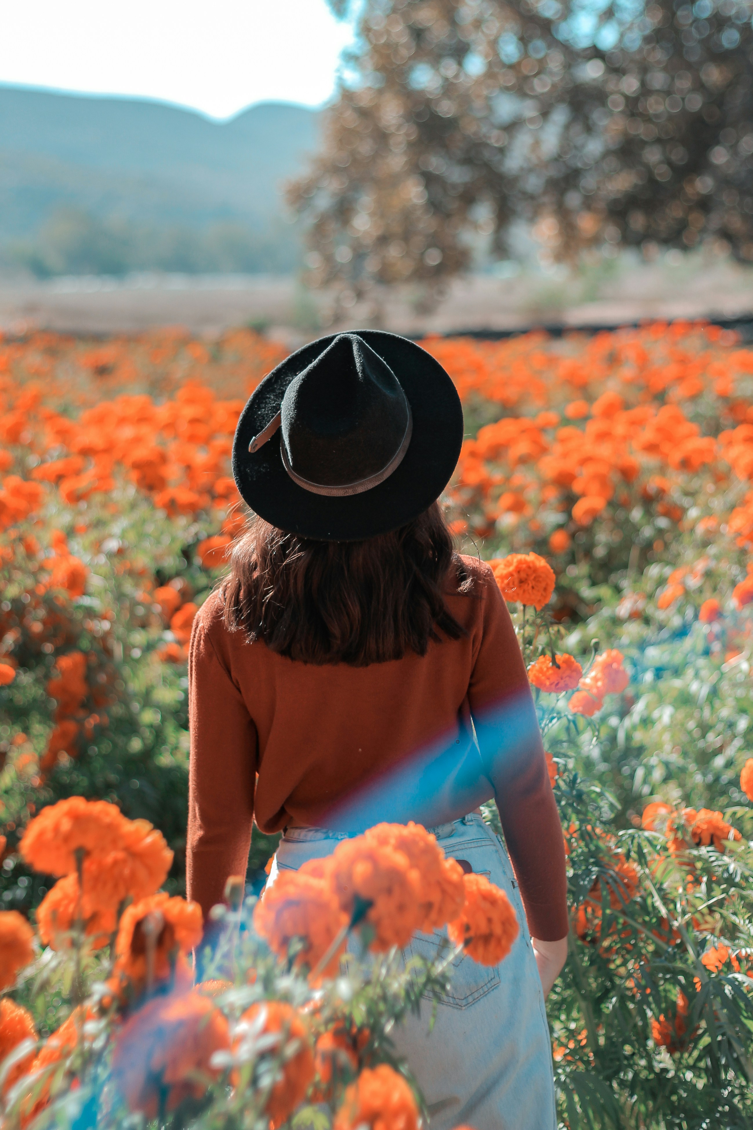 Photo by livingcolortj