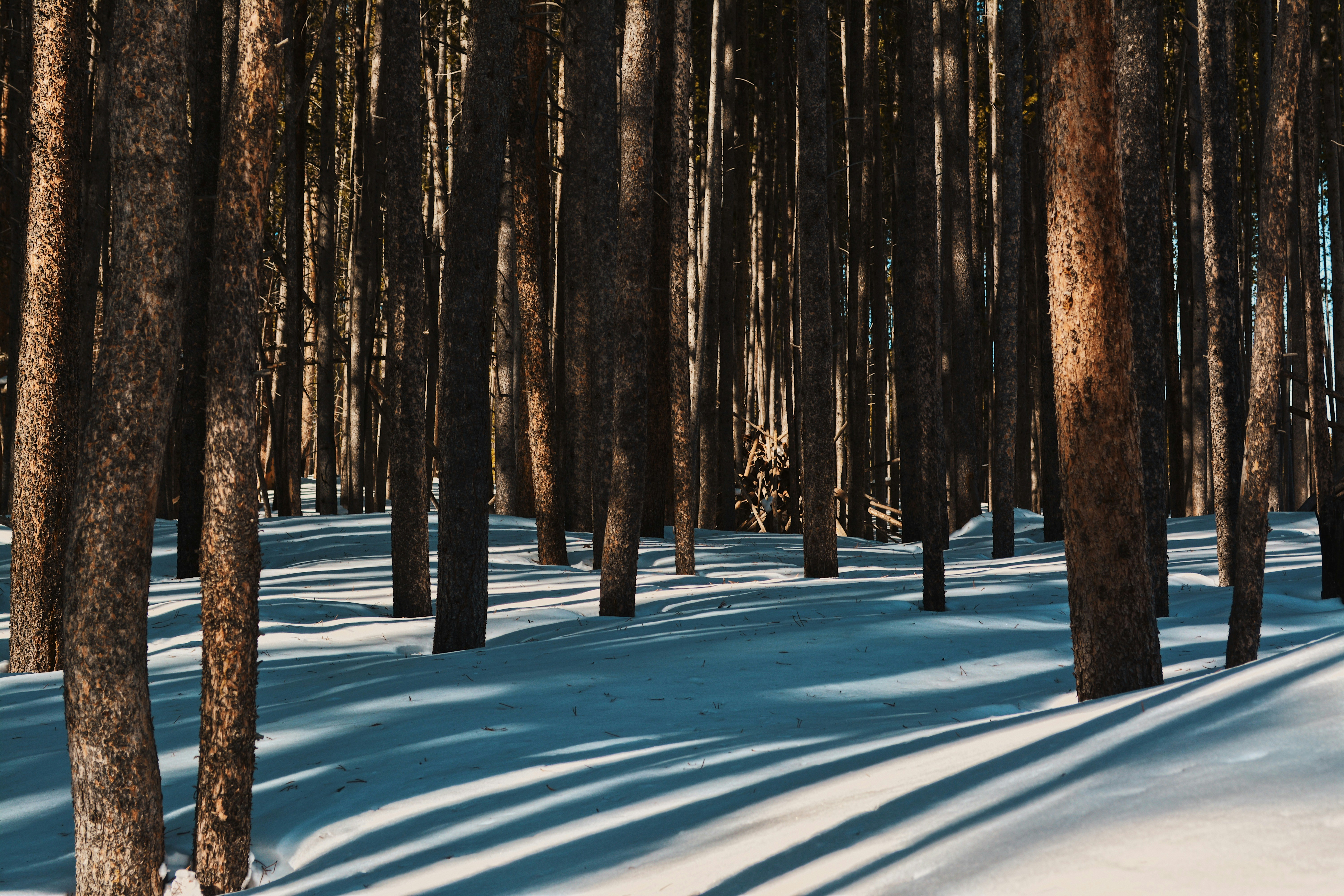 Photo by taylorngregory