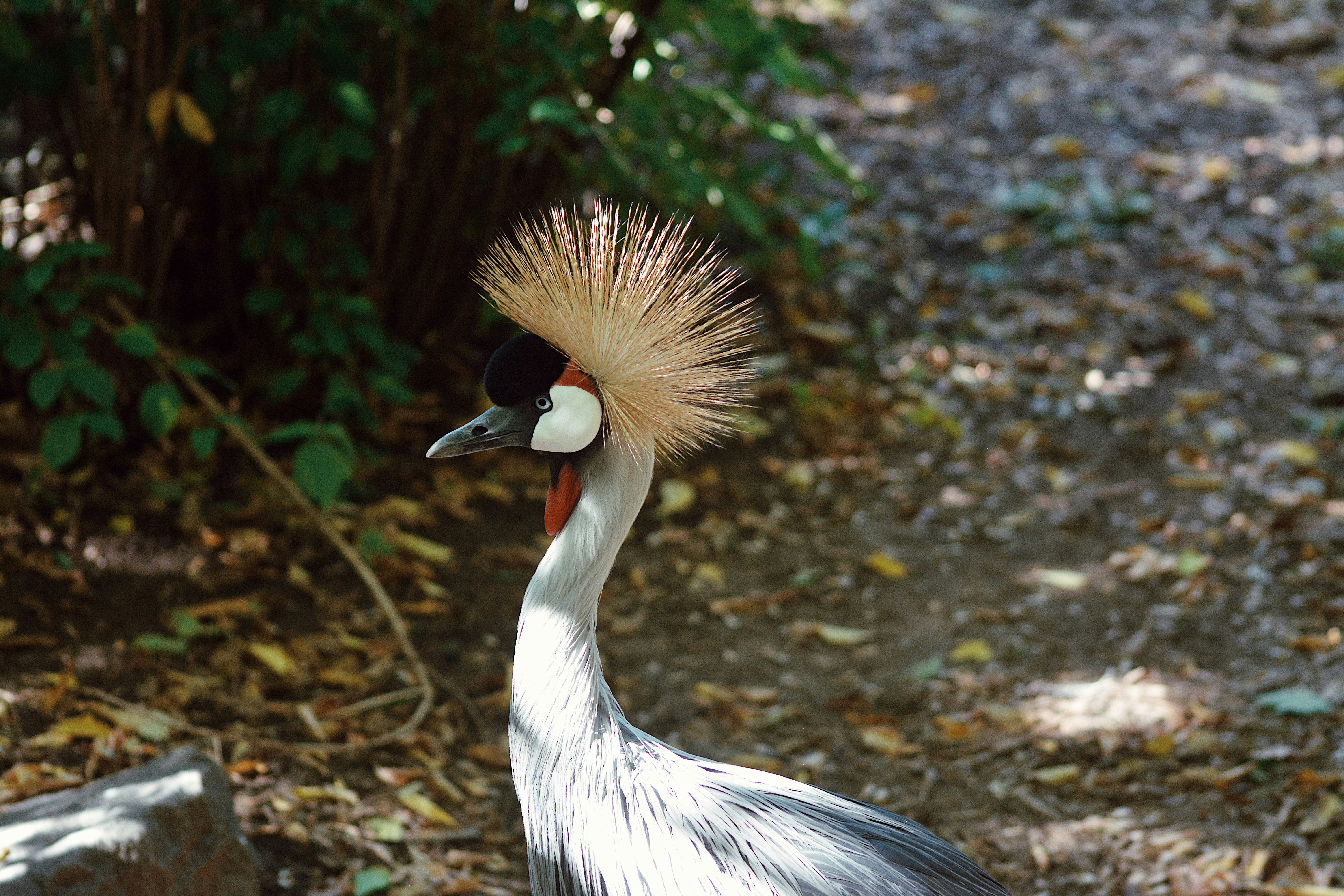 Photo by taylorngregory