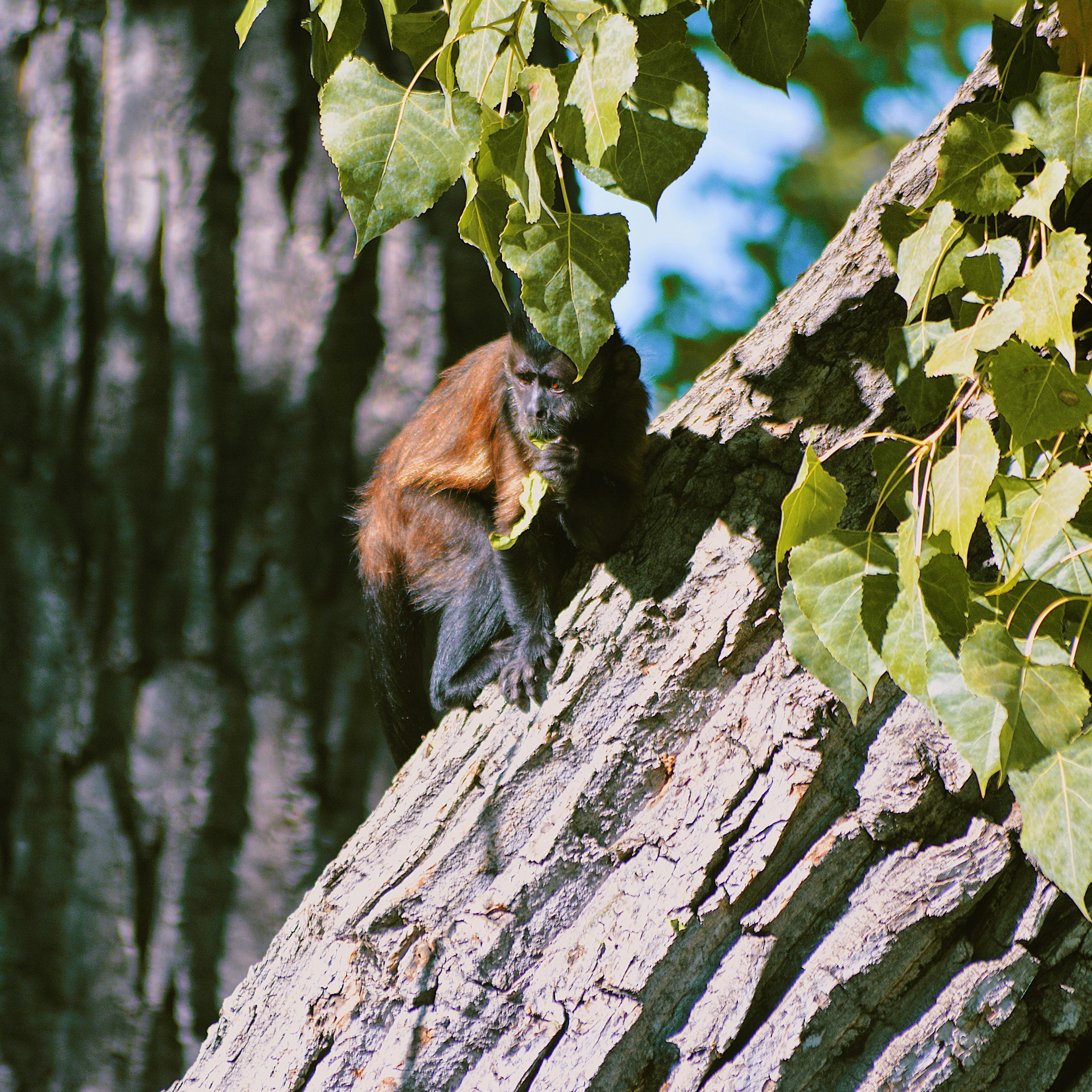 Photo by taylorngregory