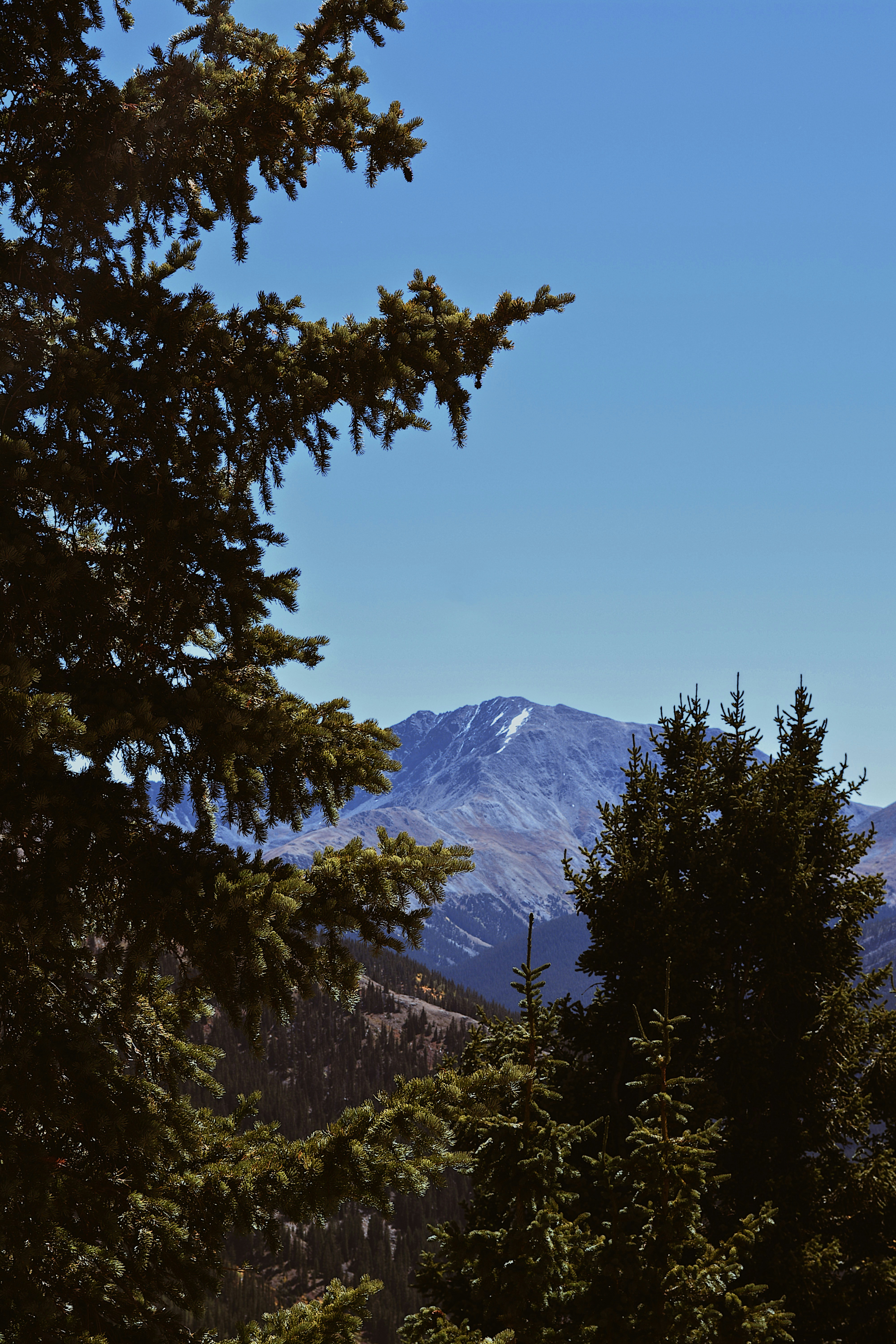 Photo by taylorngregory