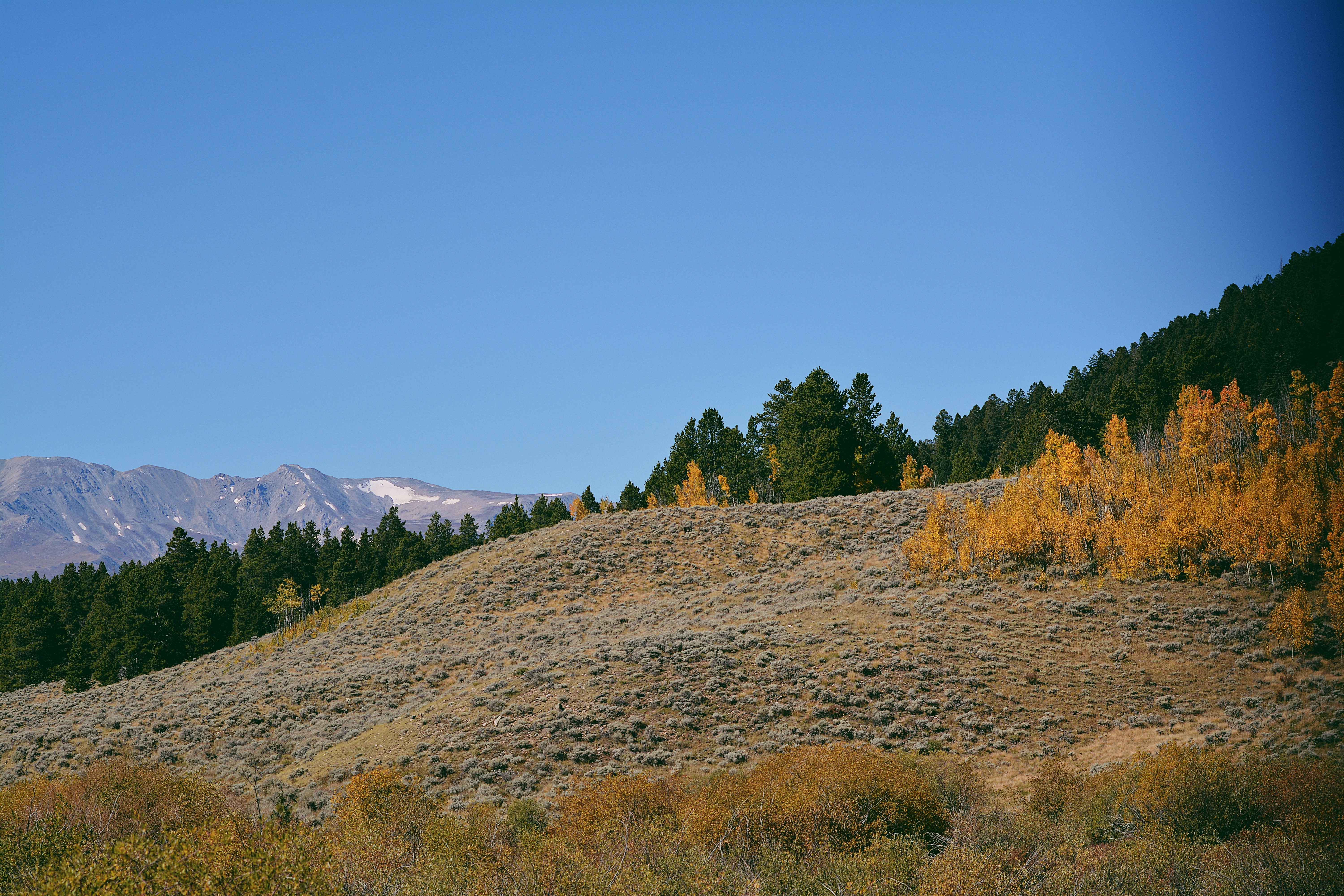 a hill with trees and mountains in the background 풍경 사진
