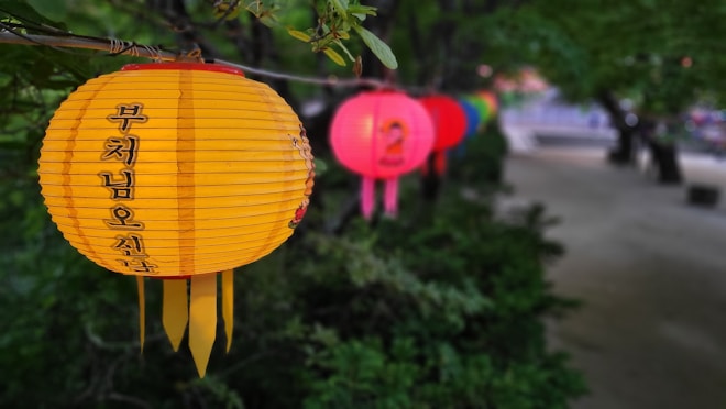 A vibrant string of colorful lanterns hangs above a path surrounded by green foliage. The lanterns are predominantly yellow and red, with Korean writing on the closest yellow lantern. They create an inviting and festive atmosphere in the outdoor setting.