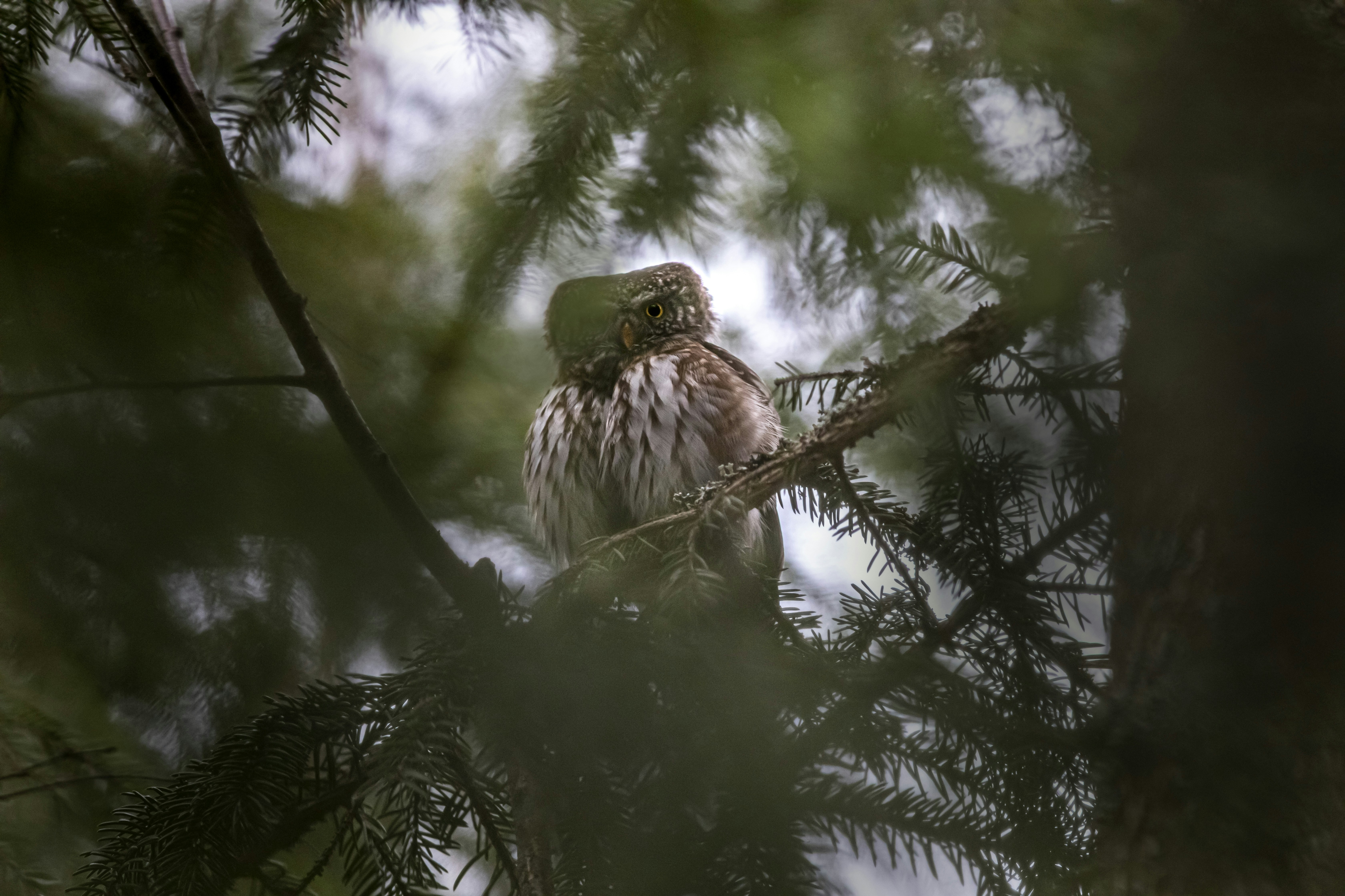 Photo by erik_karits