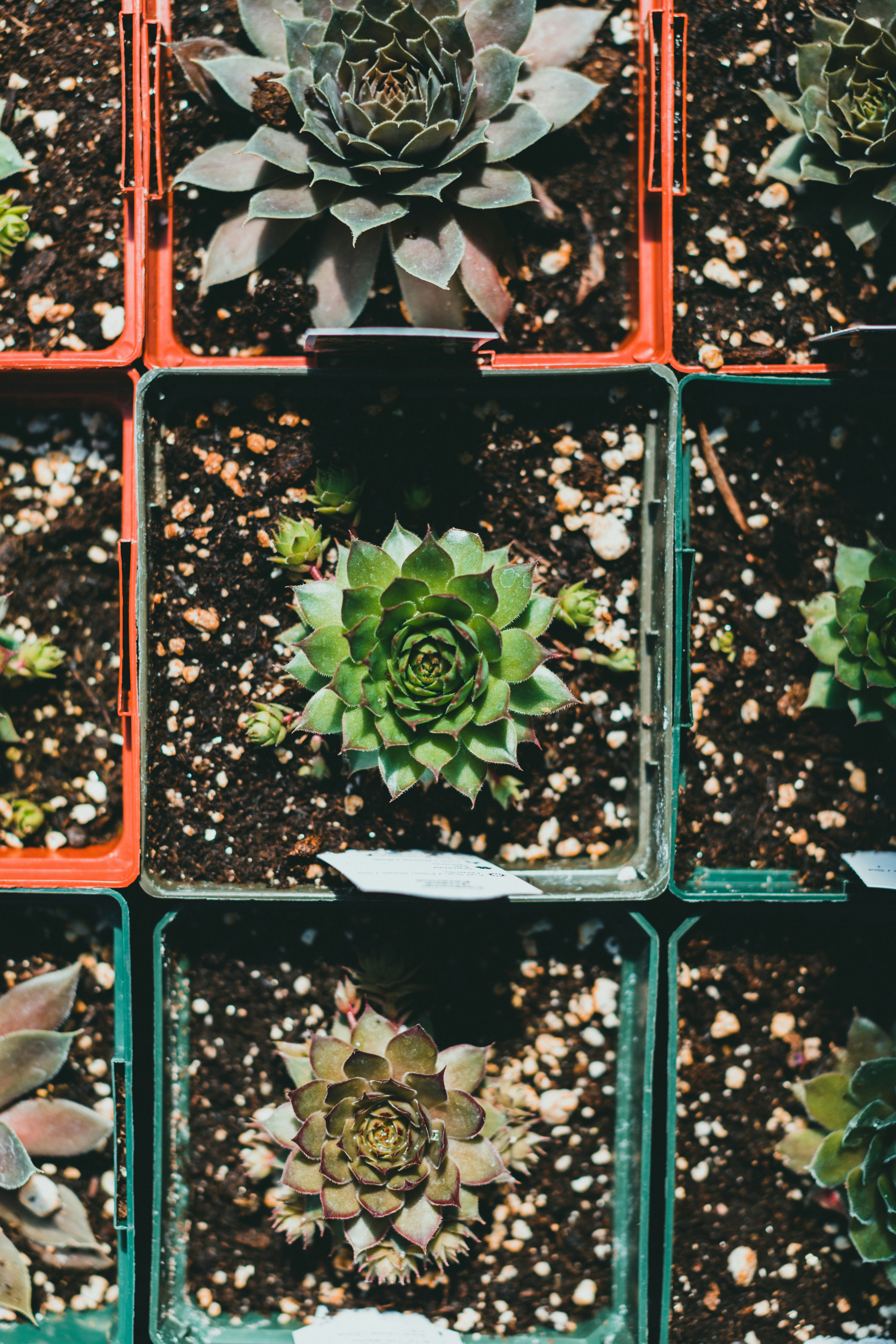 Photo by theshuttervision