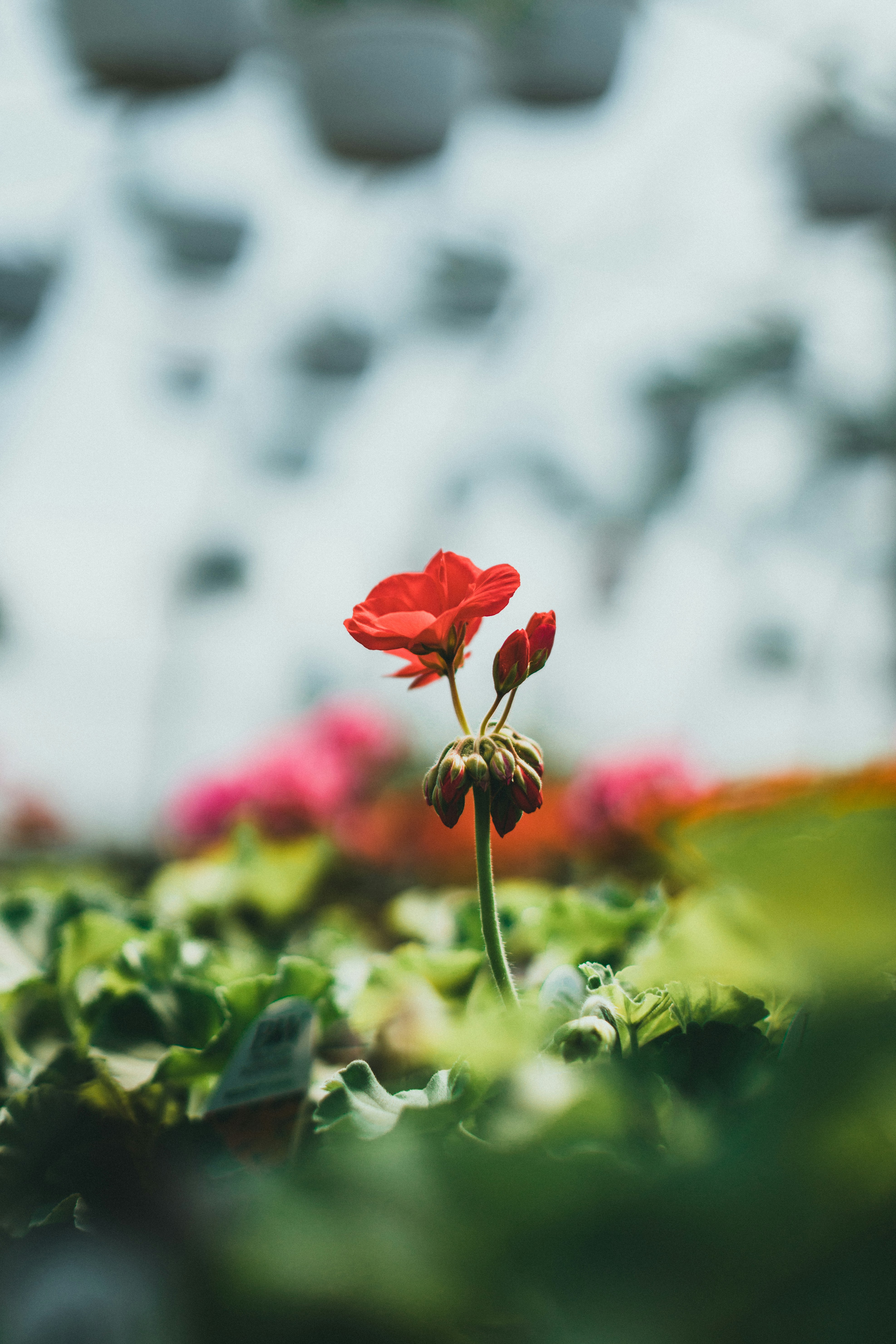 Photo by theshuttervision